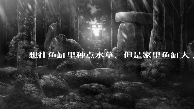 想往鱼缸里种点水草，但是家里鱼缸大了买水草泥或者底砂太贵了，有没有生活中可以替代的物品或其他建议？